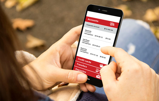 E-banking / Internet banking